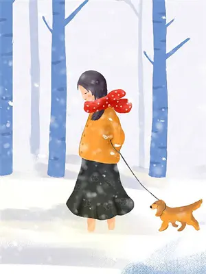 校花完结小说免费